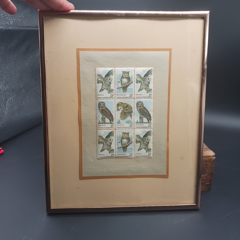 Wildlife Conservation Owl Stamps Framed Saw-whet, Barred, Great Horned, Grt Gray